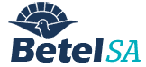 Betel South Africa Logo